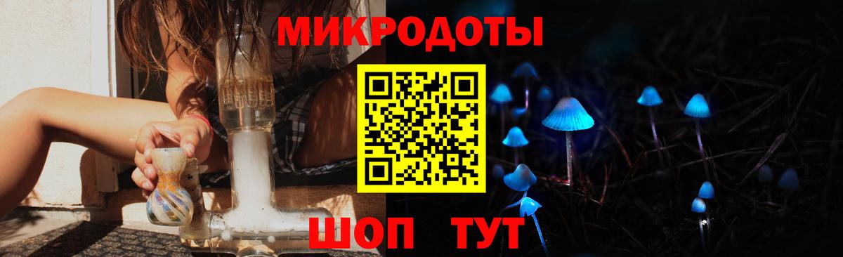 Псилоцибиновые грибы мицелий Коломна